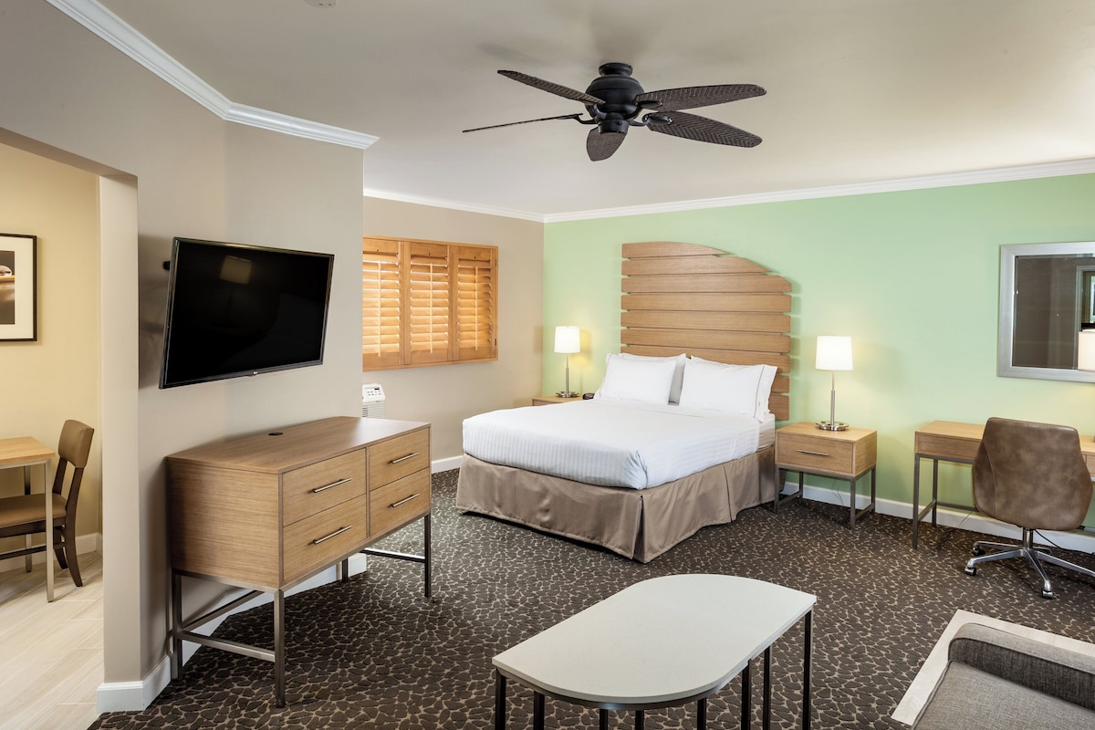Suite, 1 grand lit et 1 canapé-lit | Coffre-fort, bureau, espace de travail pour ordinateurs portables