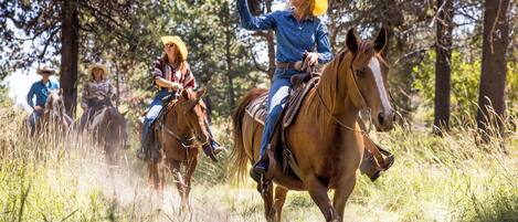 A group of people riding horses through a grassy area with trees in the background.