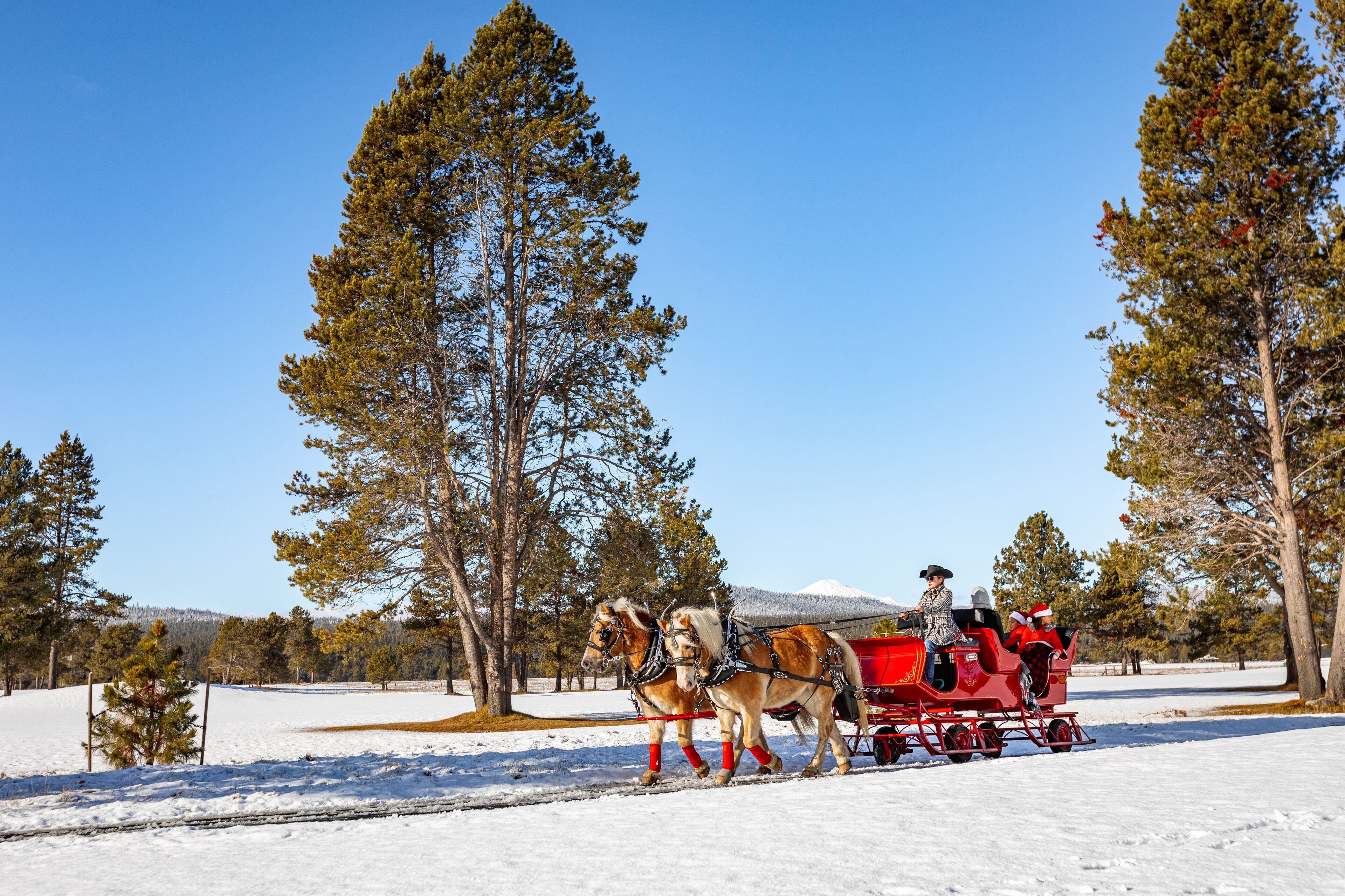 A red horse-drawn carriage with two horses and two passengers in a snowy landscape with tall trees.