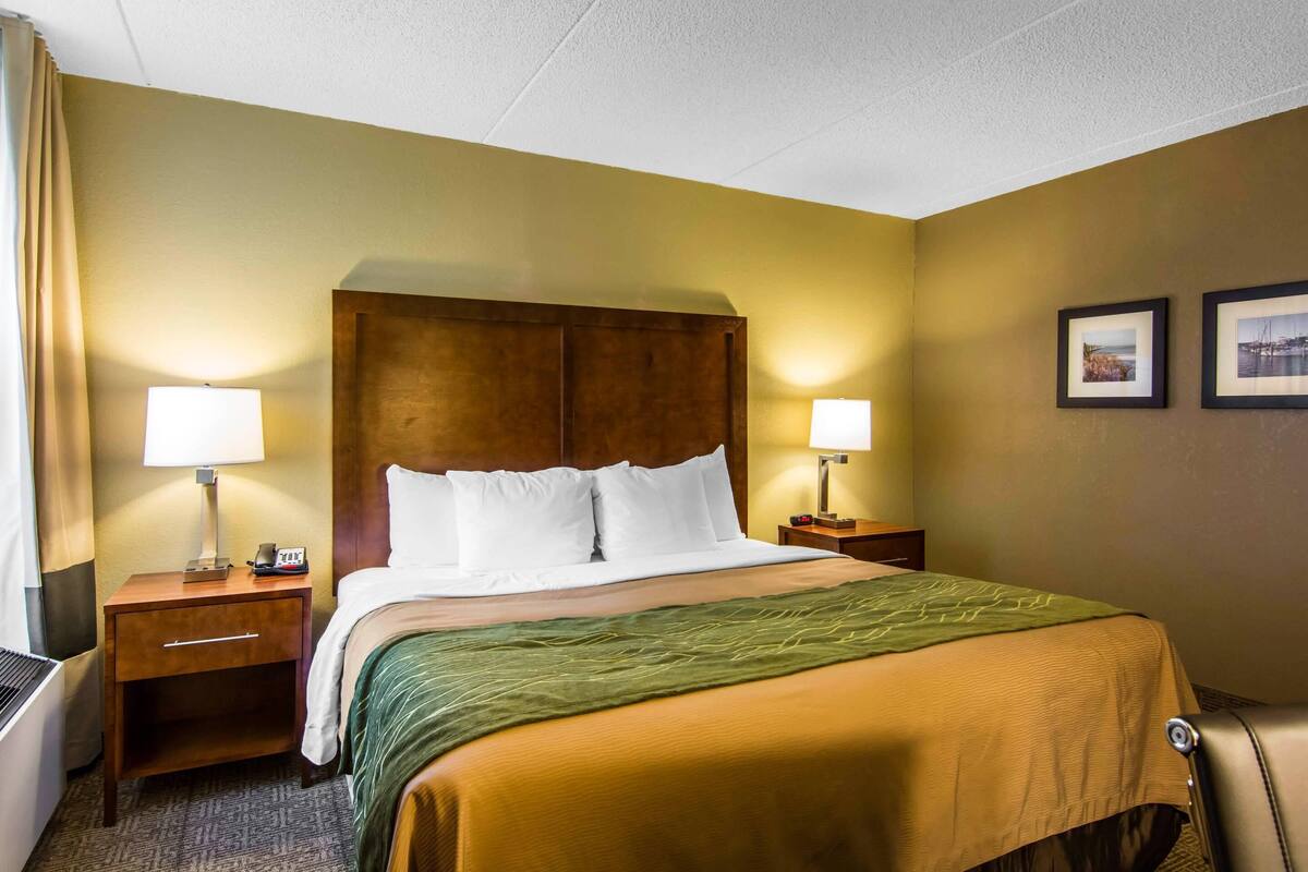 Une chambre d’hôtel avec un lit, deux lampes de chevet, une tête de lit en bois, un plaid vert, une table de chevet avec un téléphone et deux tableaux encadrés au mur.