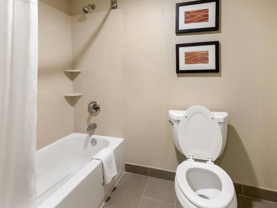 Un baño con bañera, inodoro y dos cuadros en la pared.