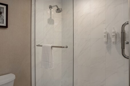 Hampton Inn by Hilton Winnipeg Downtown - Image 41