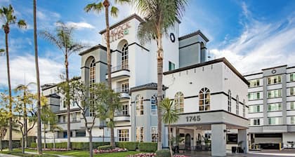 Peacock Suites