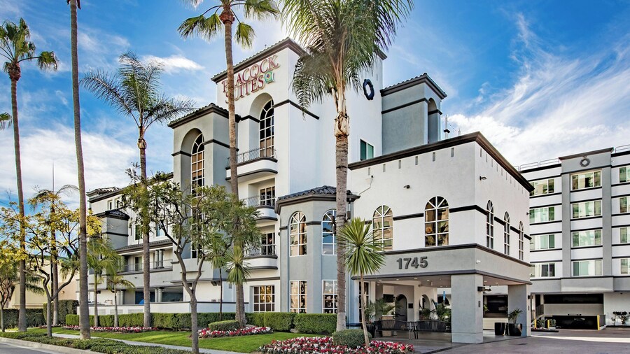 Peacock Suites