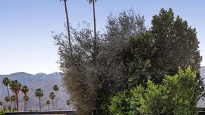 A modern building with a white brick wall, a water feature, and cacti. - L'Horizon Resort & Spa, Hermann Bungalows (Palm Springs)