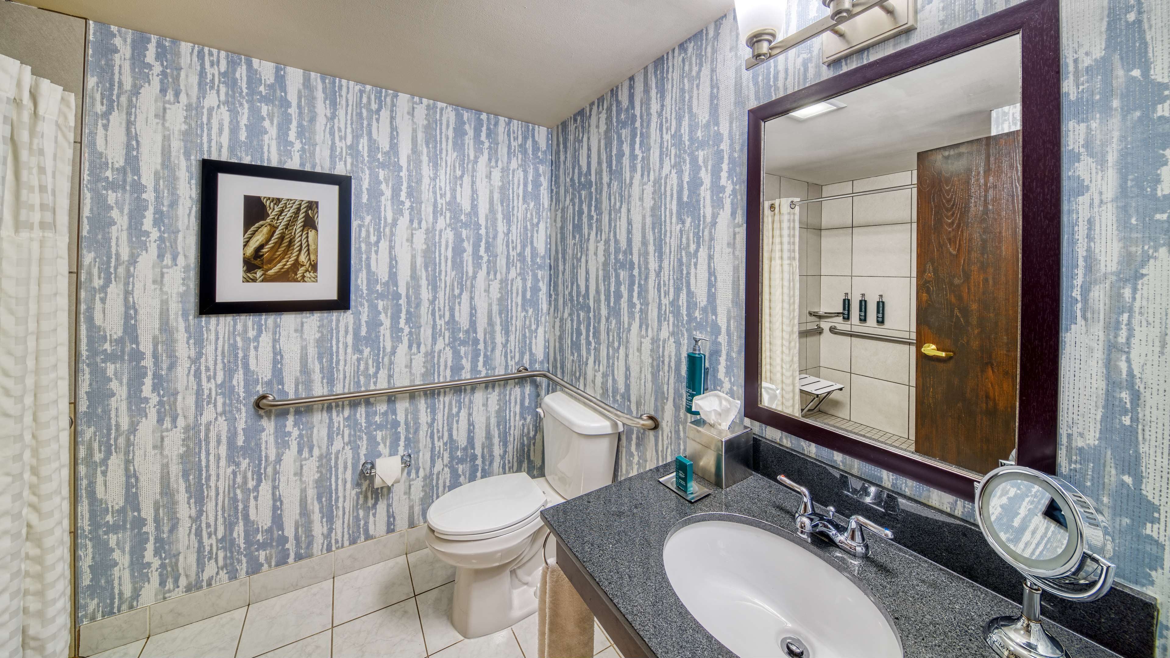 room, 1 king bed, accessible (mobility & hearing, roll-in shower) | bathroom | free toiletries, hair dryer, towels, soap