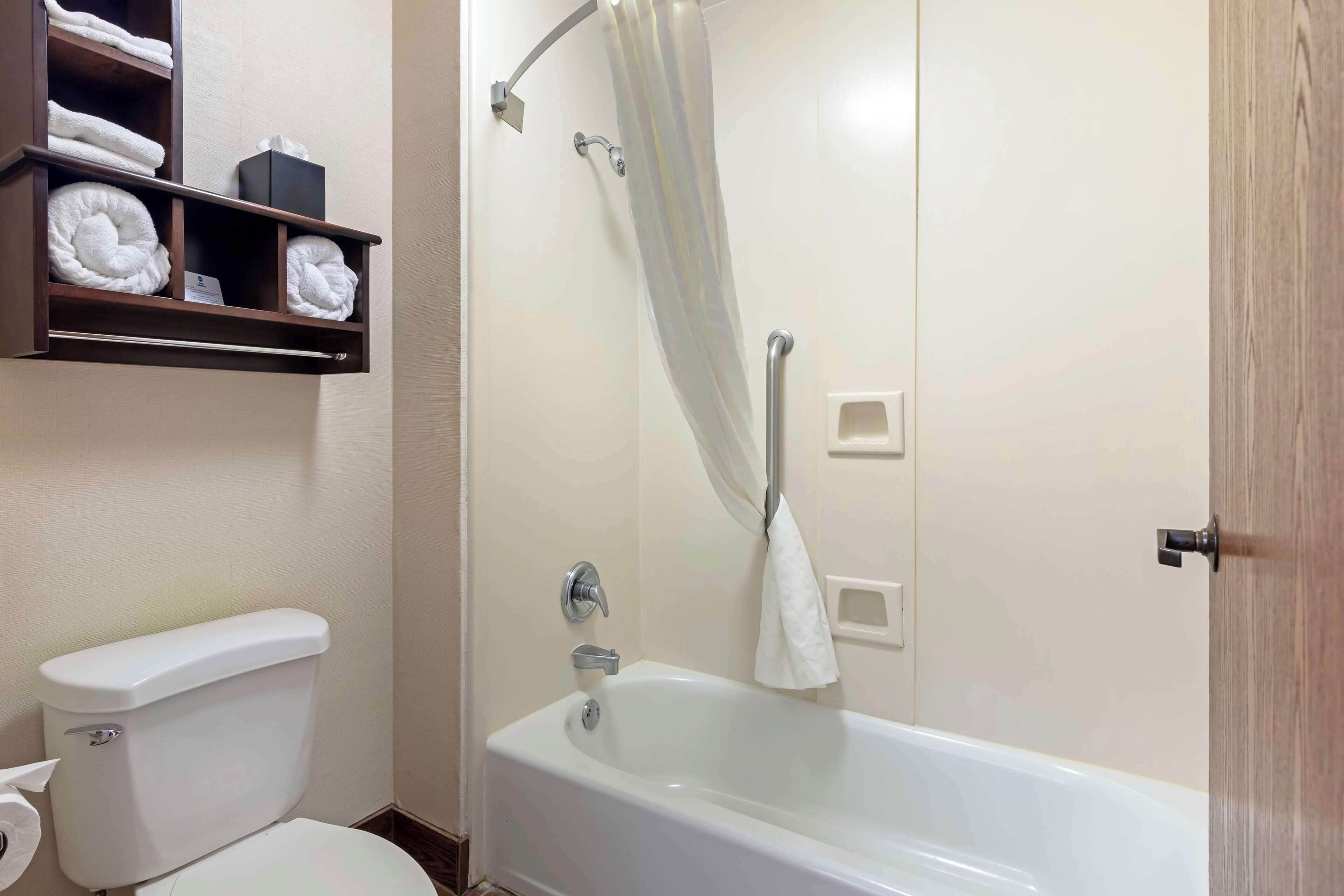 combined shower/bathtub, free toiletries, hair dryer, towels