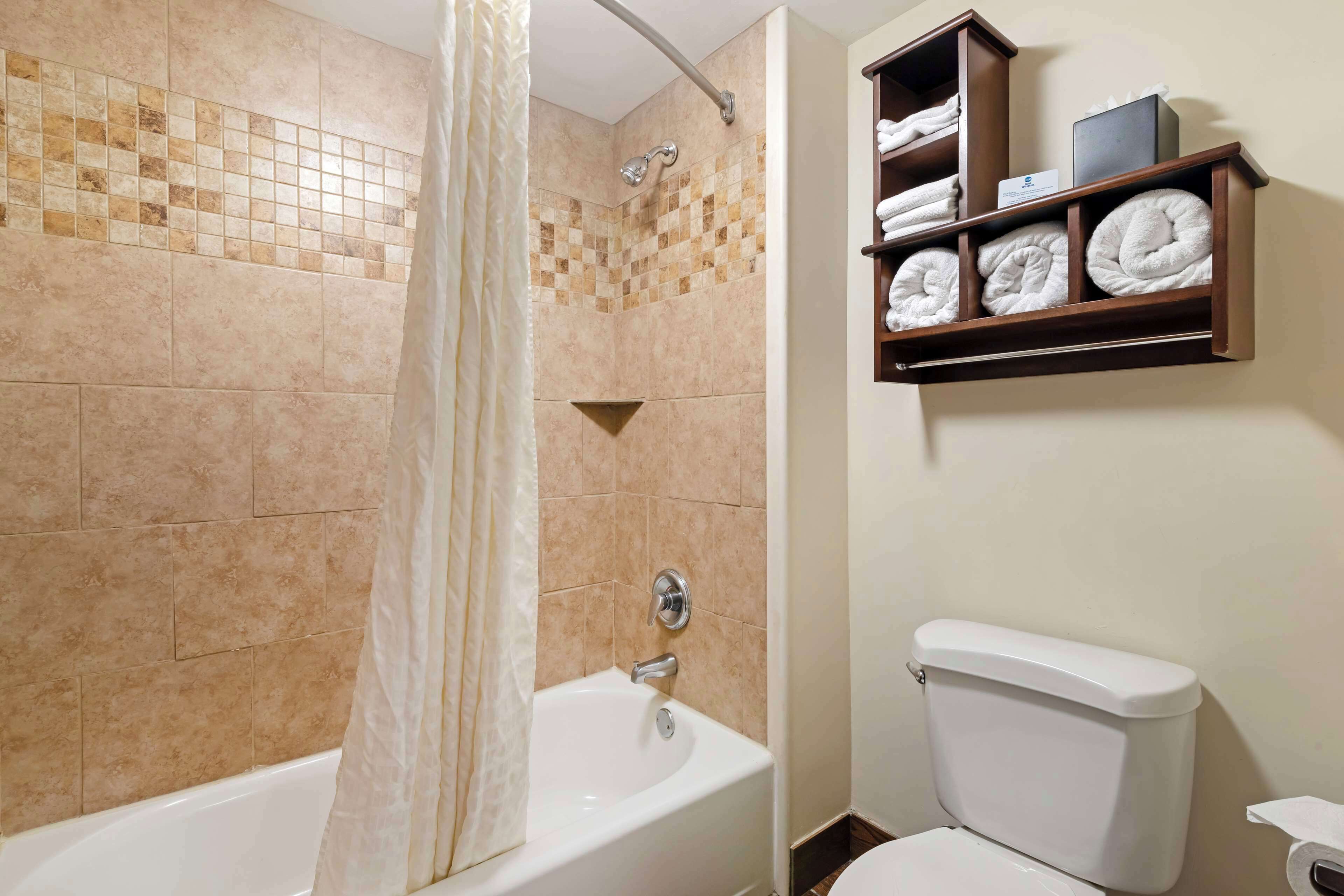 combined shower/bathtub, free toiletries, hair dryer, towels