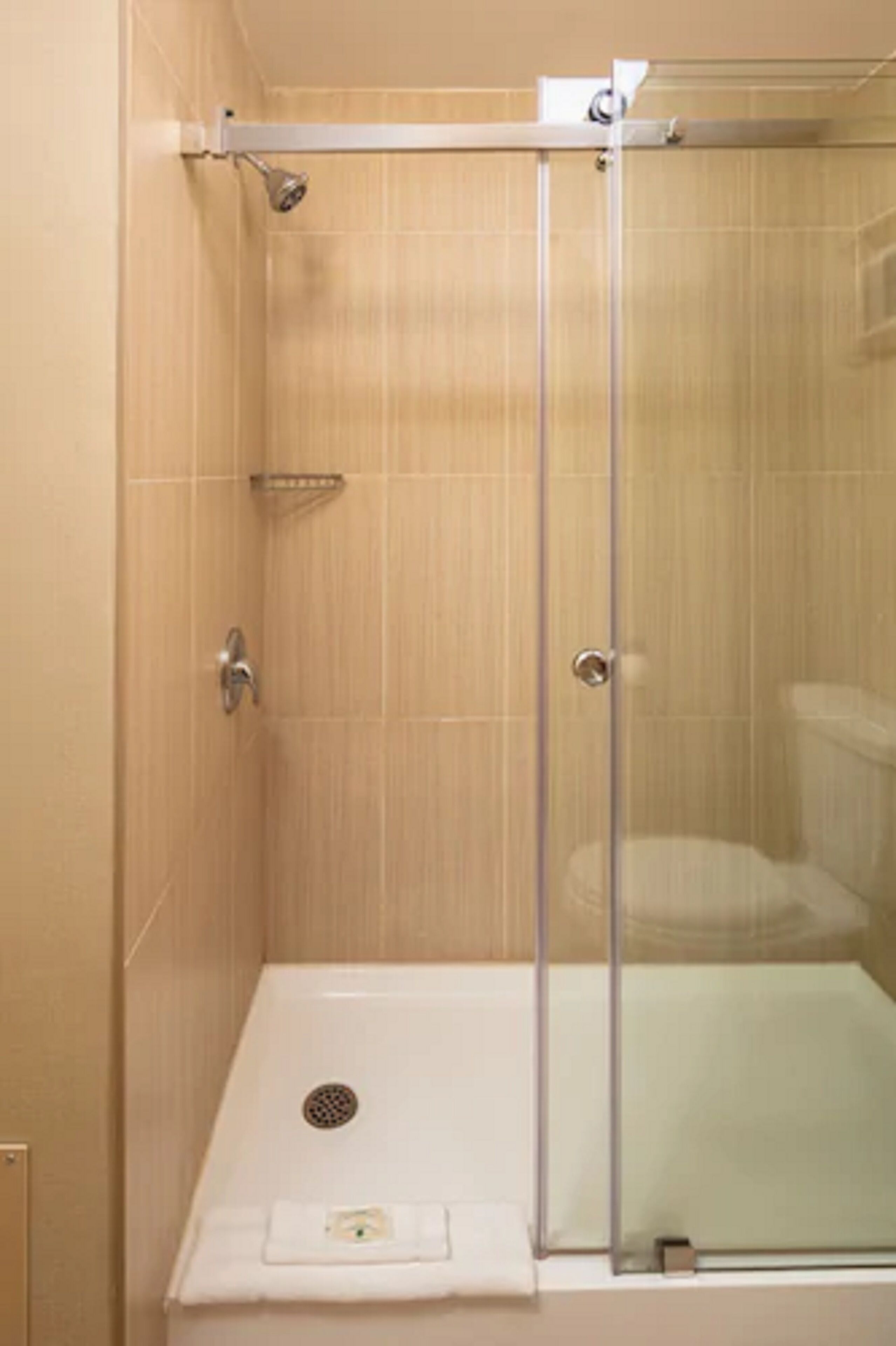 A glass-enclosed shower stall with a white sink and a handheld showerhead.