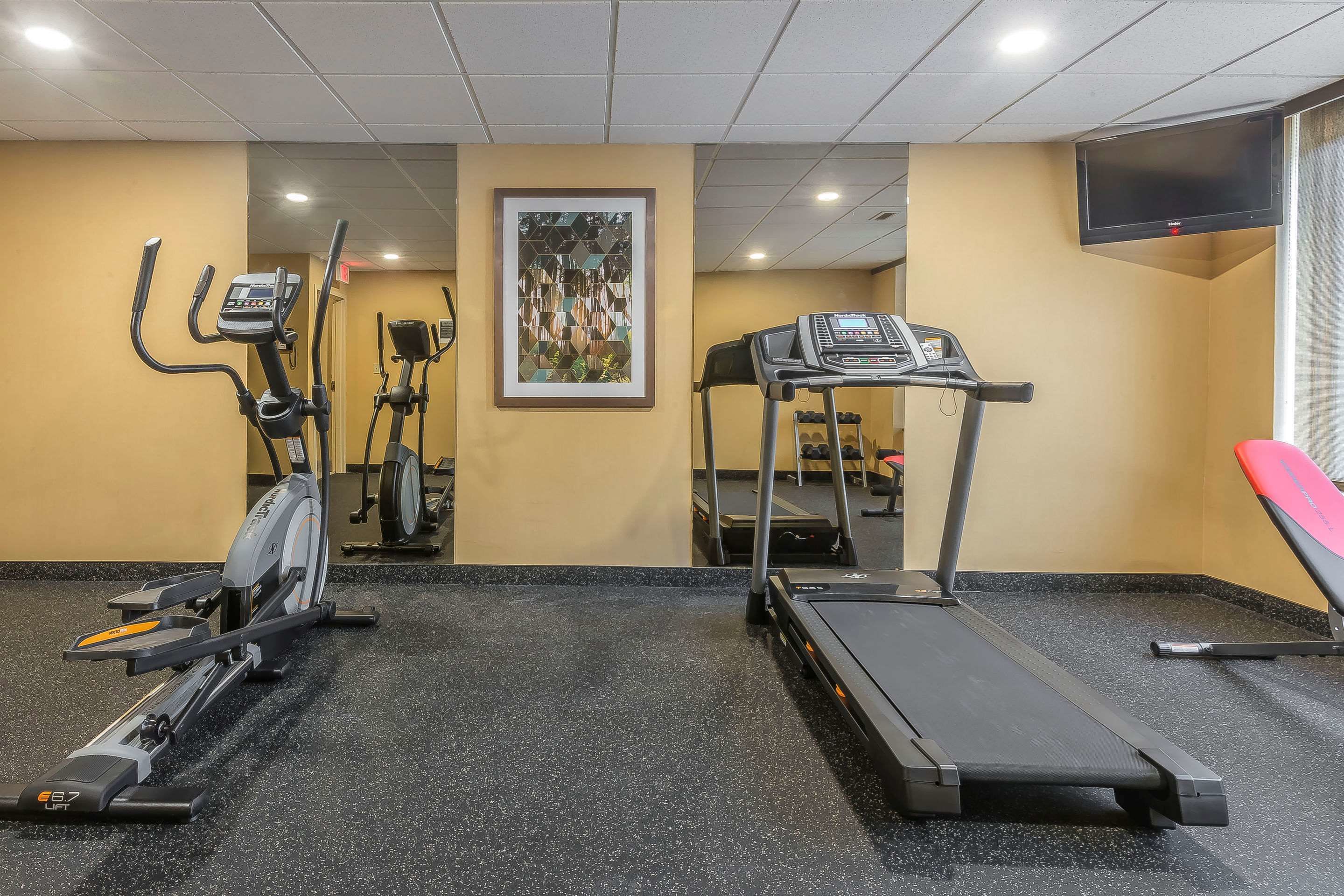 Une salle de sport équipée d’appareils de cardio, notamment des tapis de course et un appareil elliptique.