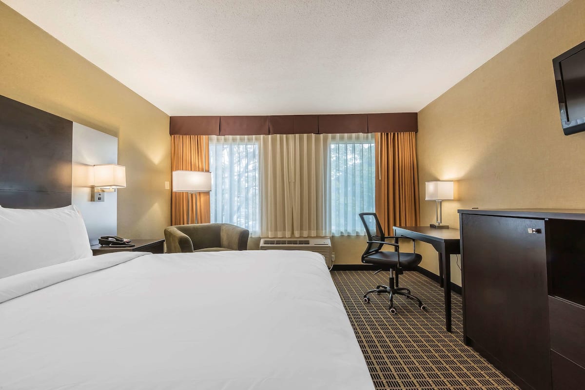 Standard Room, 1 King Bed, Non Smoking | Desk, laptop workspace, blackout drapes, soundproofing