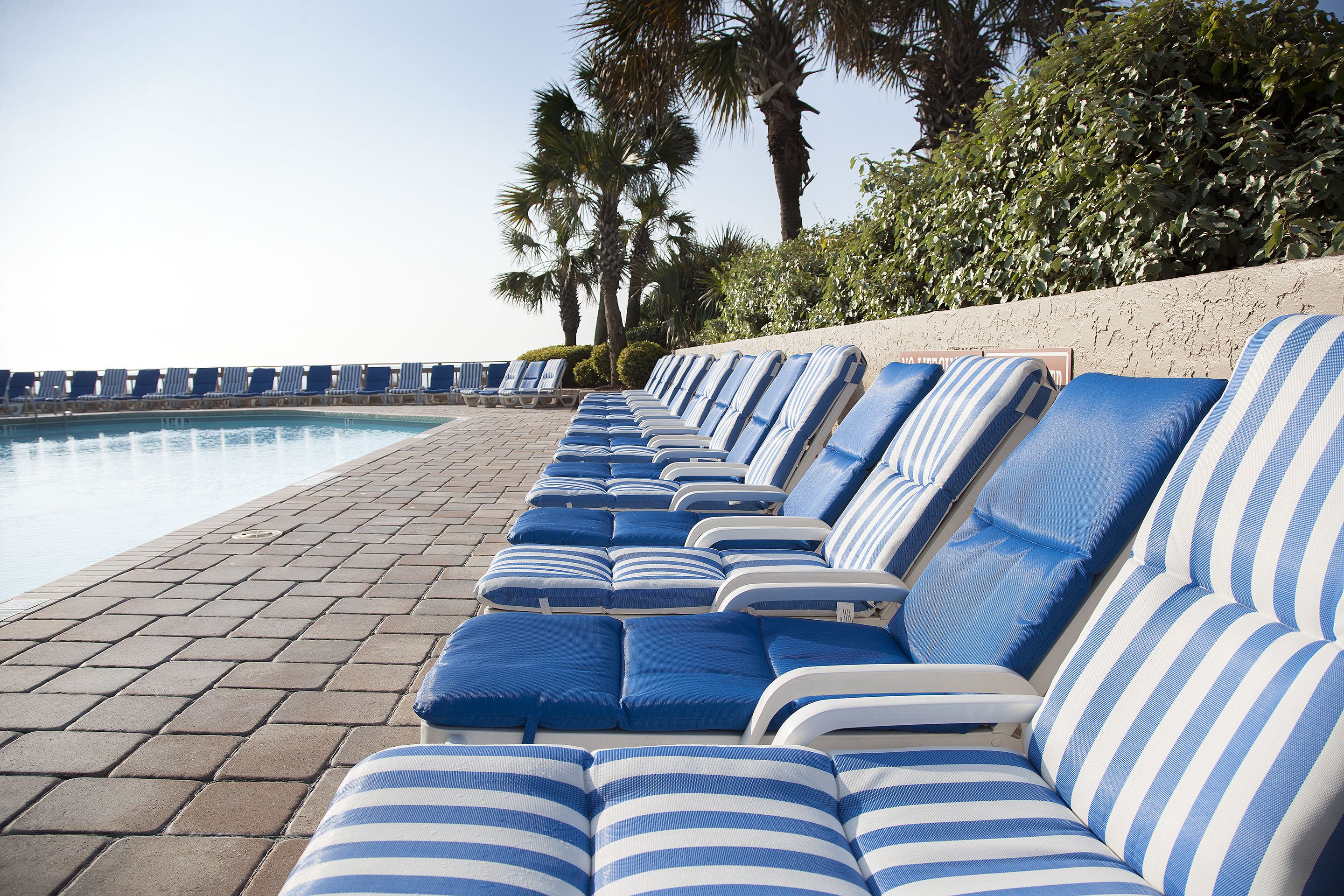 A row of striped lounge chairs by a poolside, with palm trees in the background.