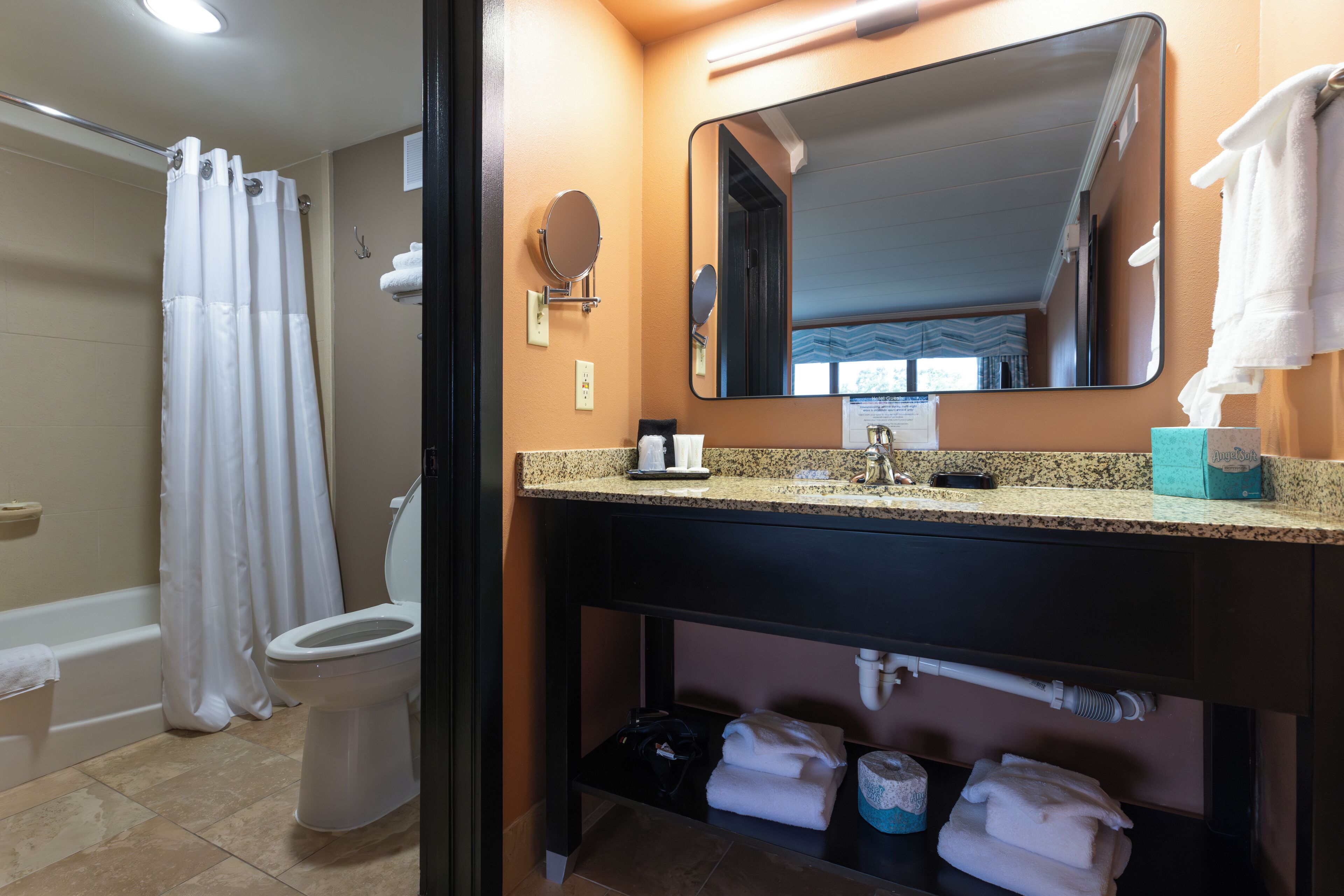 standard suite, 1 king bed with sofa bed, park view | bathroom | designer toiletries, hair dryer, towels, soap