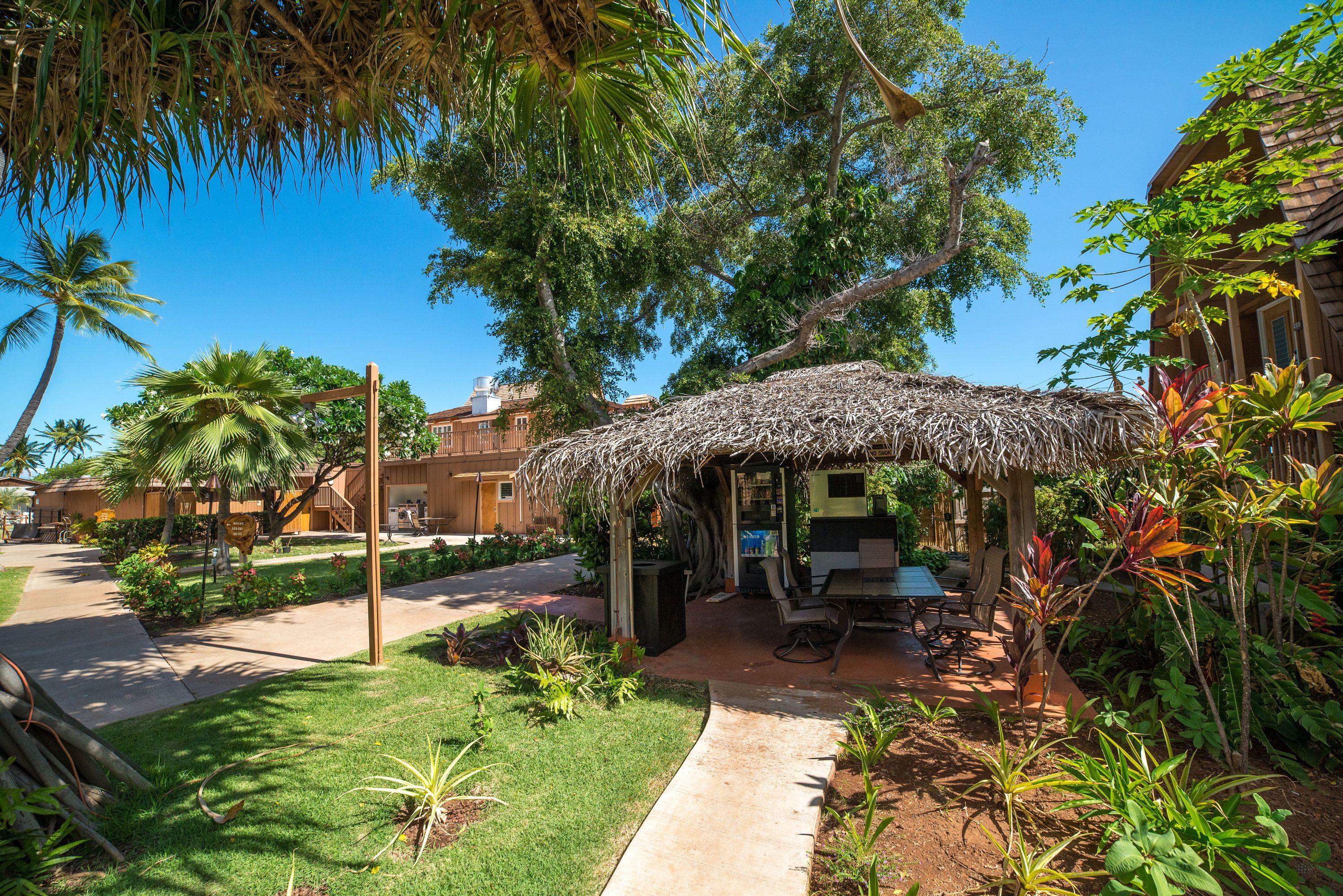 Un espacio al aire libre con techo de paja, con una mesa y sillas, rodeado de vegetación exuberante y palmeras.