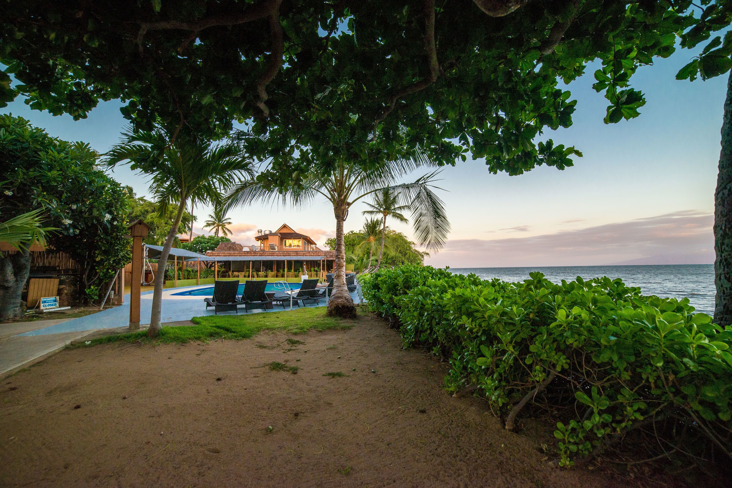 A beachfront property with a pool, palm trees, and a view of the ocean.
