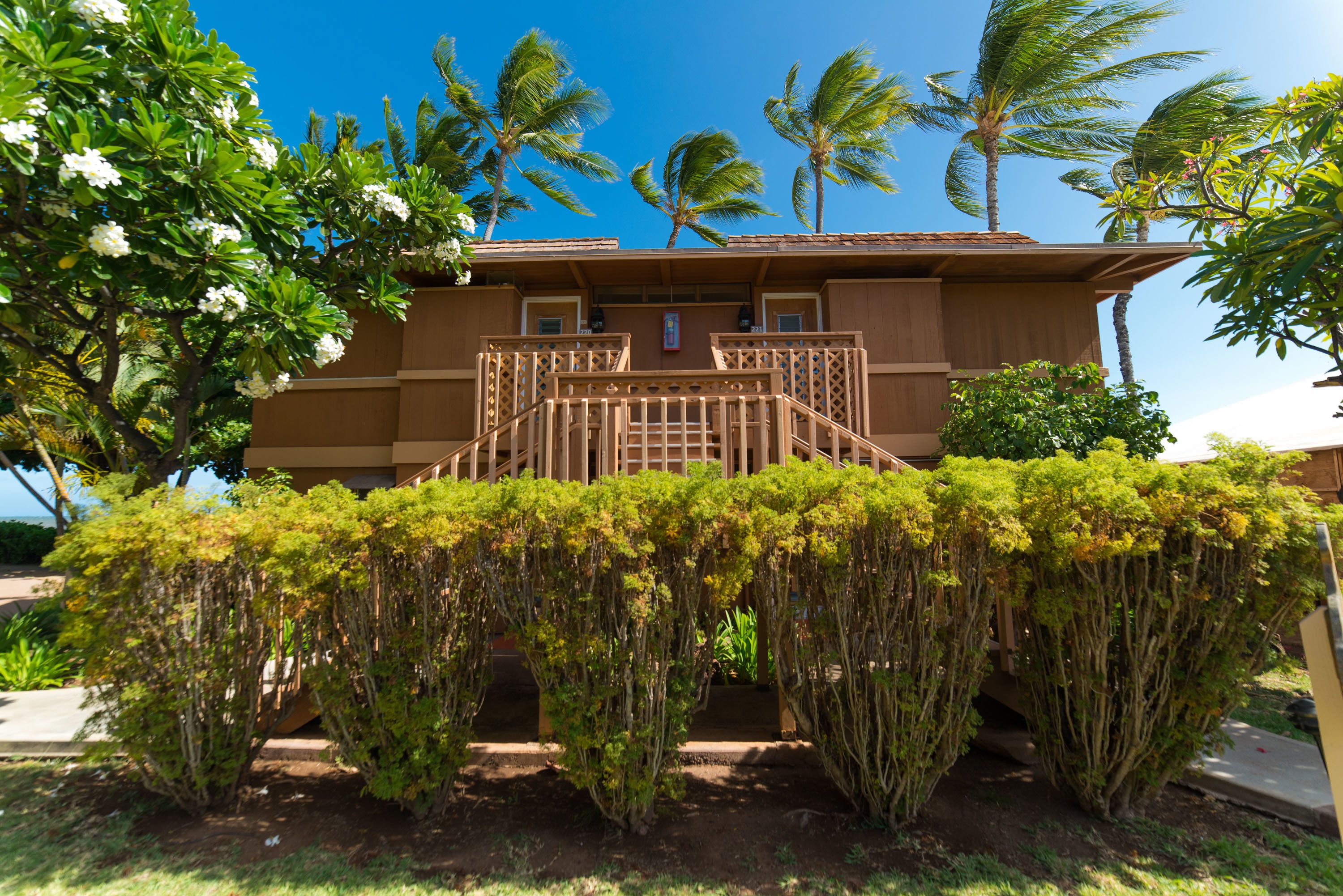 A two-story building with a wooden staircase leading to the entrance, surrounded by lush greenery and palm trees.
