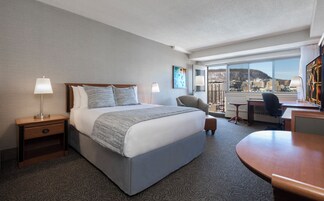Studio Suite, 1 Queen Bed | Premium bedding, pillowtop beds, in-room safe, desk