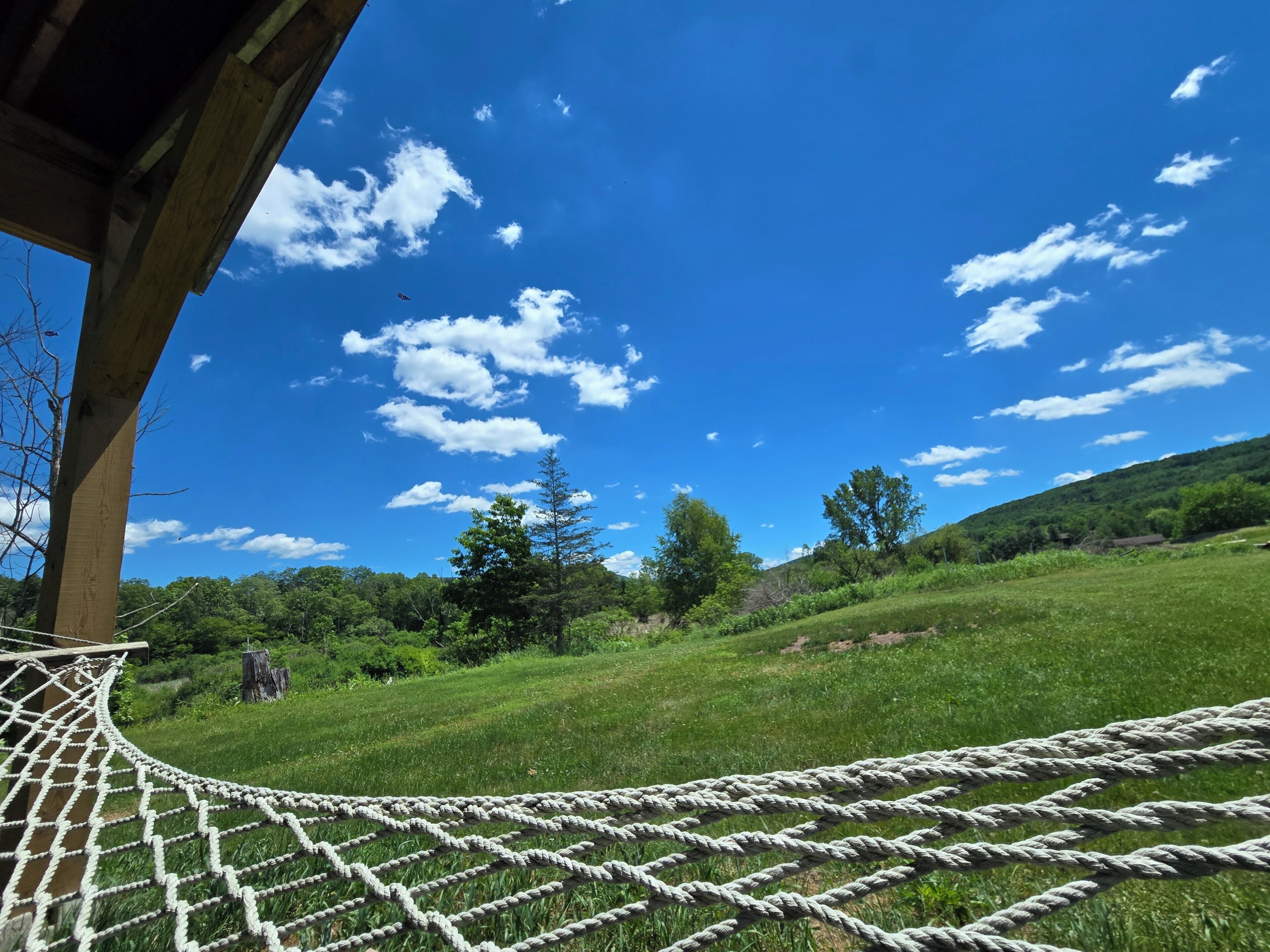 A rope bridge over a grassy field with a clear blue sky and trees in the background.