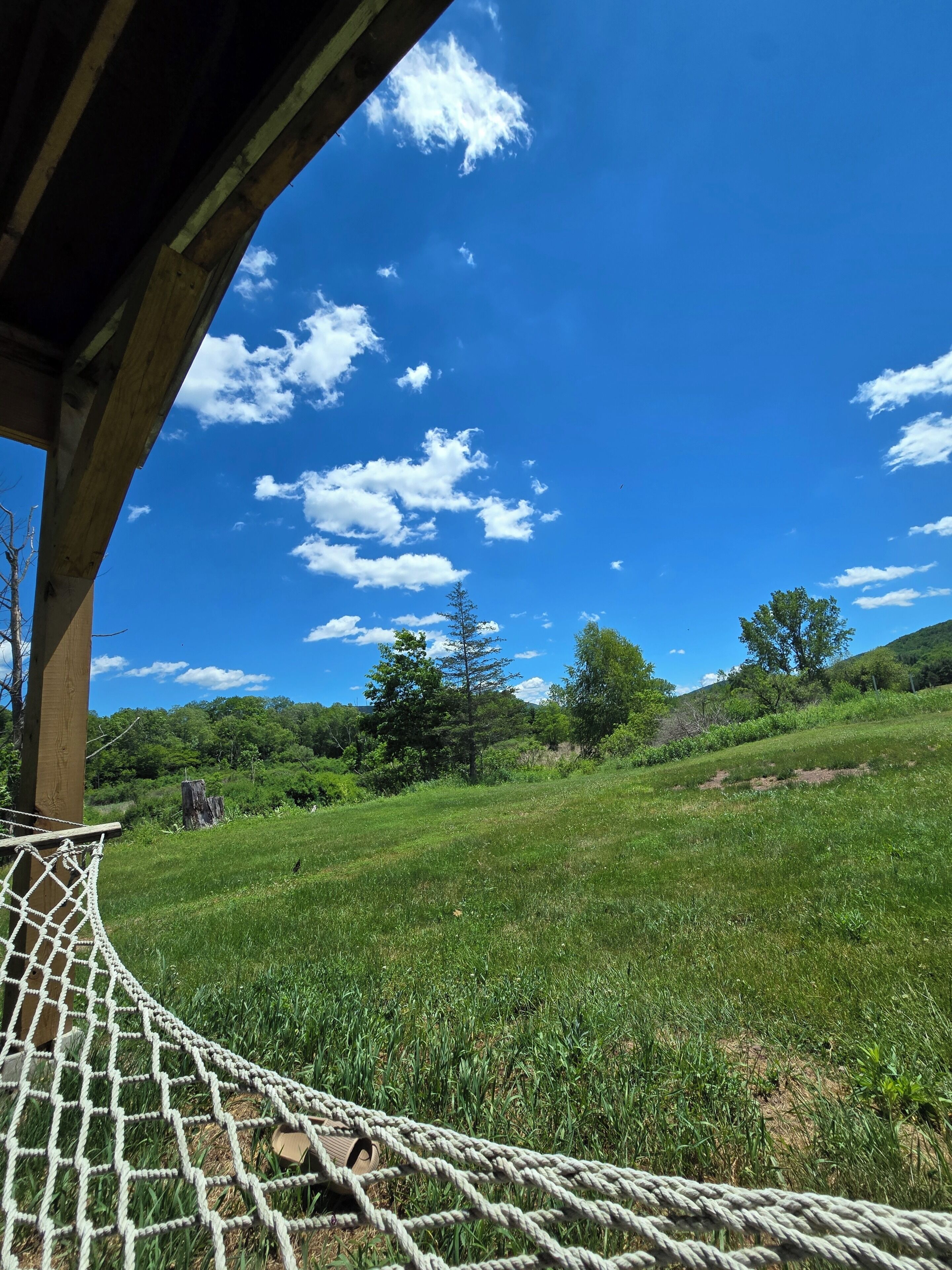 View from property