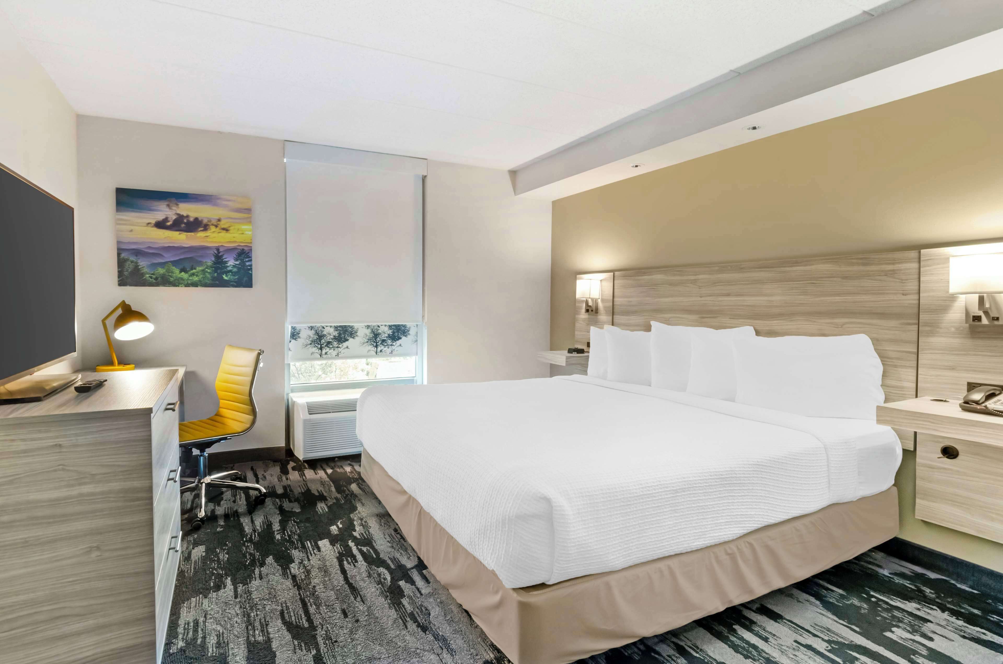 suite, 1 king bed, non smoking, refrigerator & microwave | 1 bedroom, in-room safe, desk, blackout curtains