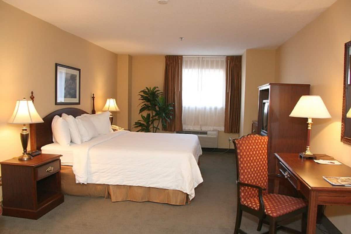 A hotel room with a bed, bedside lamps, a desk with a chair, a television, and a plant.