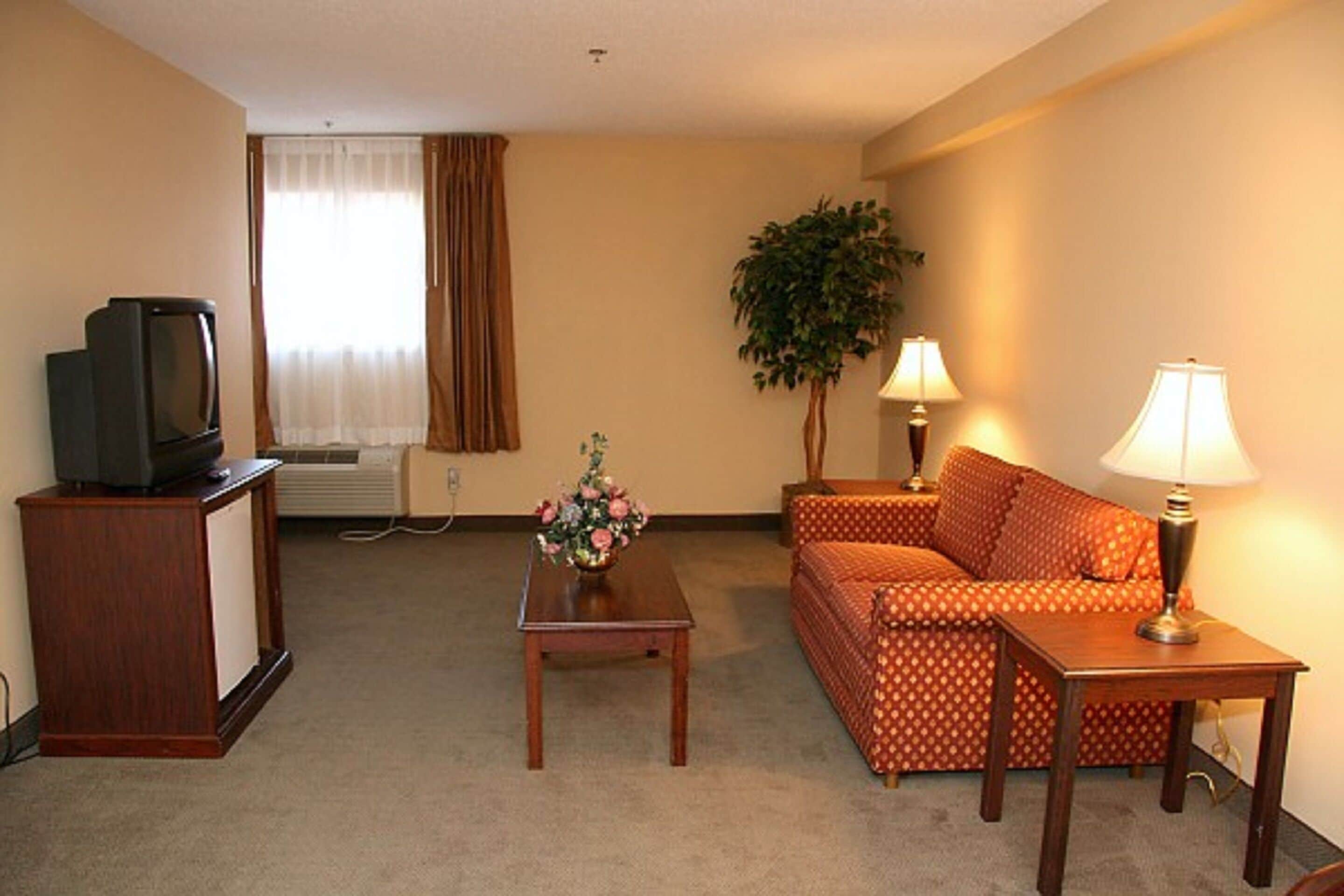Una sala de estar con un sofá, una mesa de centro con un florero, un televisor sobre un mueble, una planta y dos lámparas.