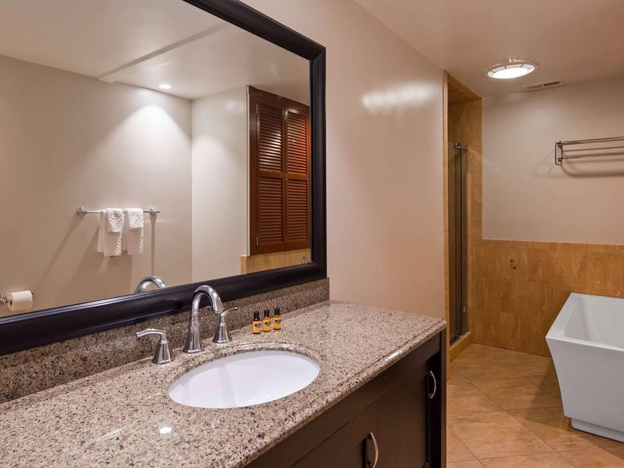 Une salle de bain avec un lavabo surmonté d’un plan de travail en granit, un grand miroir, un espace douche et une baignoire.