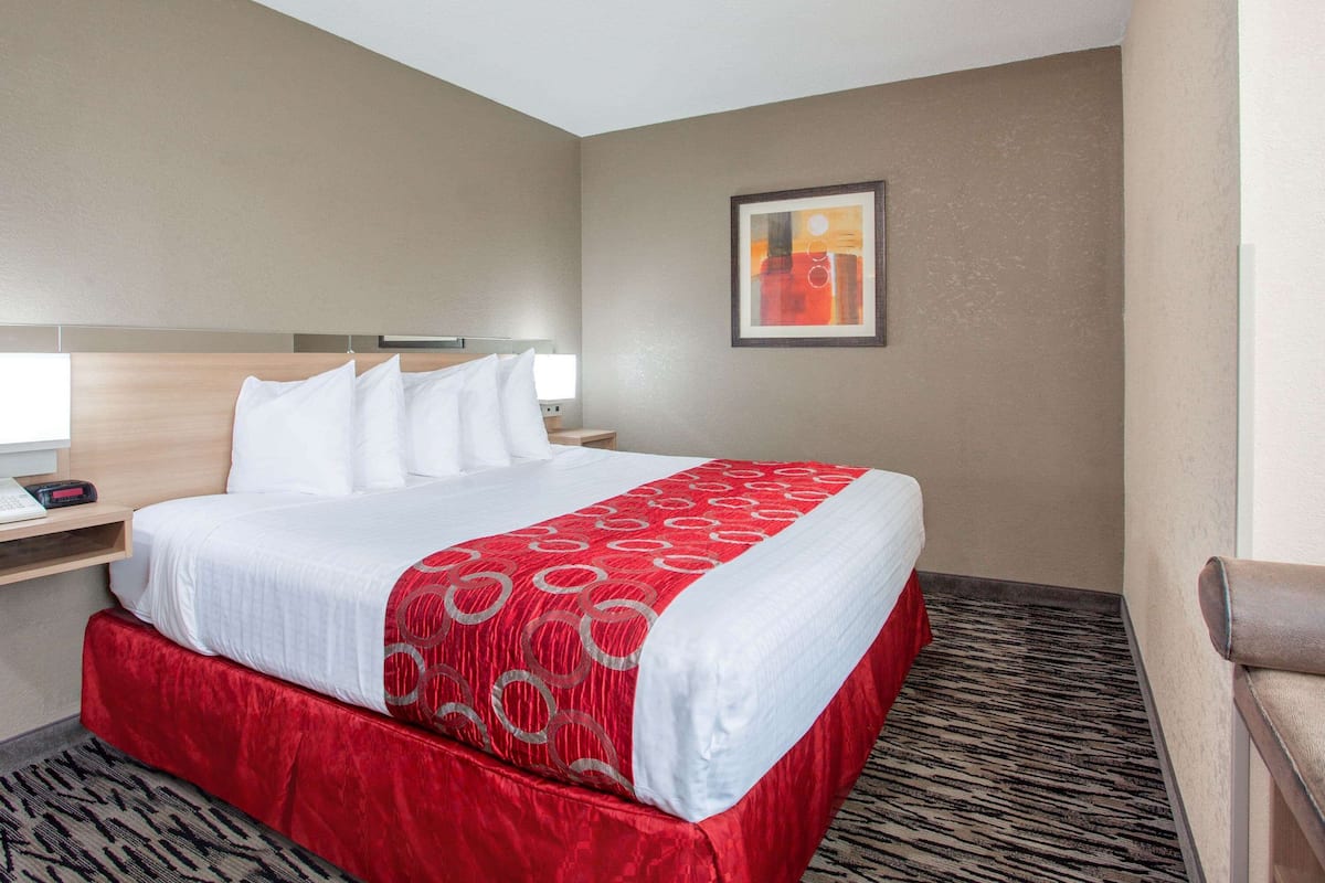 Room, 1 King Bed, Accessible, Non Smoking (Mobility/Roll-In Shower) | Desk, blackout curtains, iron/ironing board, free WiFi