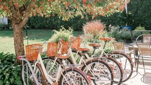 A row of bicycles parked under a tree with red berries, a patio area with chairs, and a garden in the background.