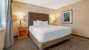 Unclassified image, 2 of 65, button - Drury Plaza Hotel St. Louis Union Station (St. Louis)