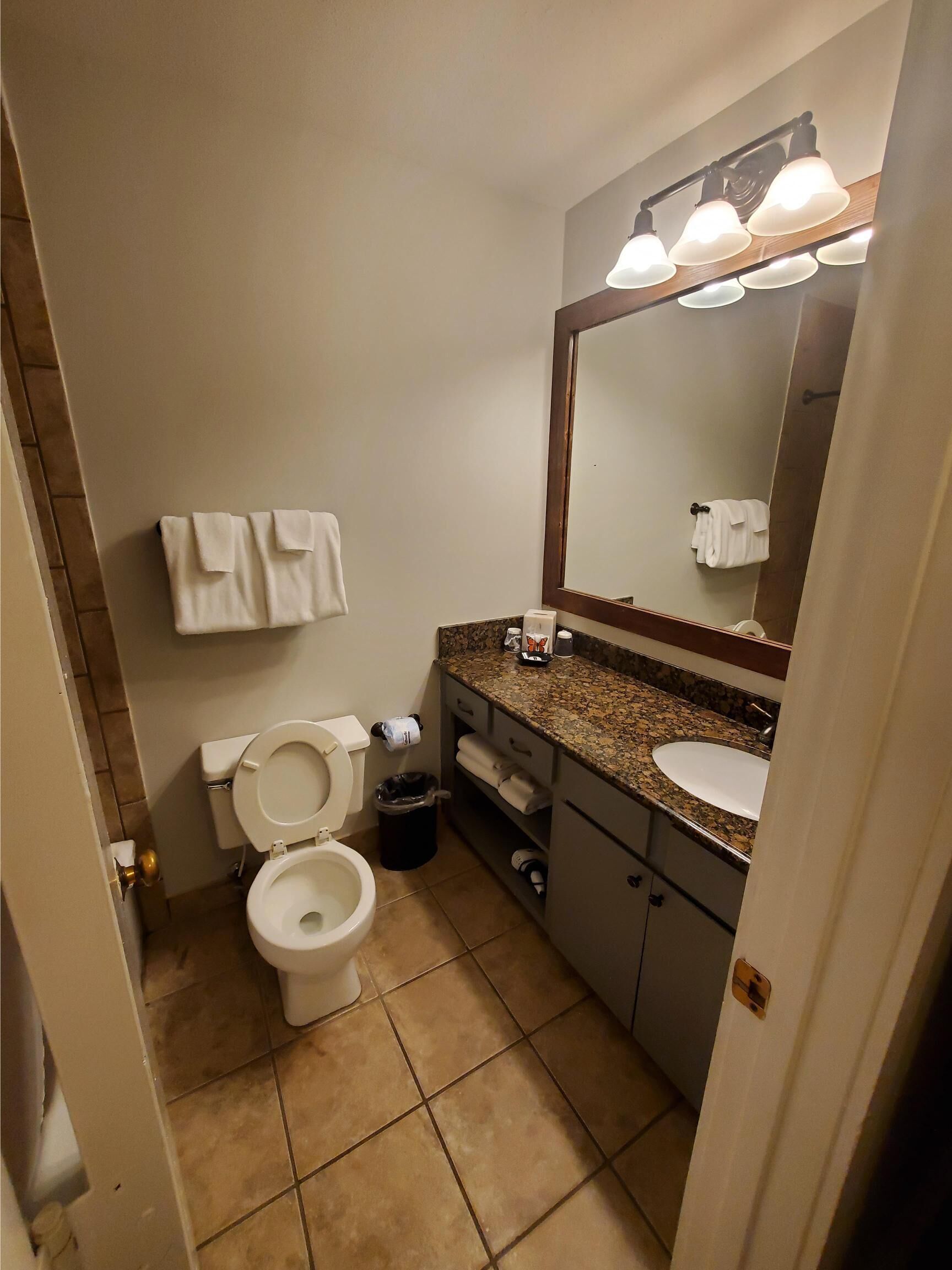 Une salle de bain comprenant des toilettes, un lavabo, un meuble-lavabo et un grand miroir avec éclairage.