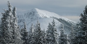 Skiing