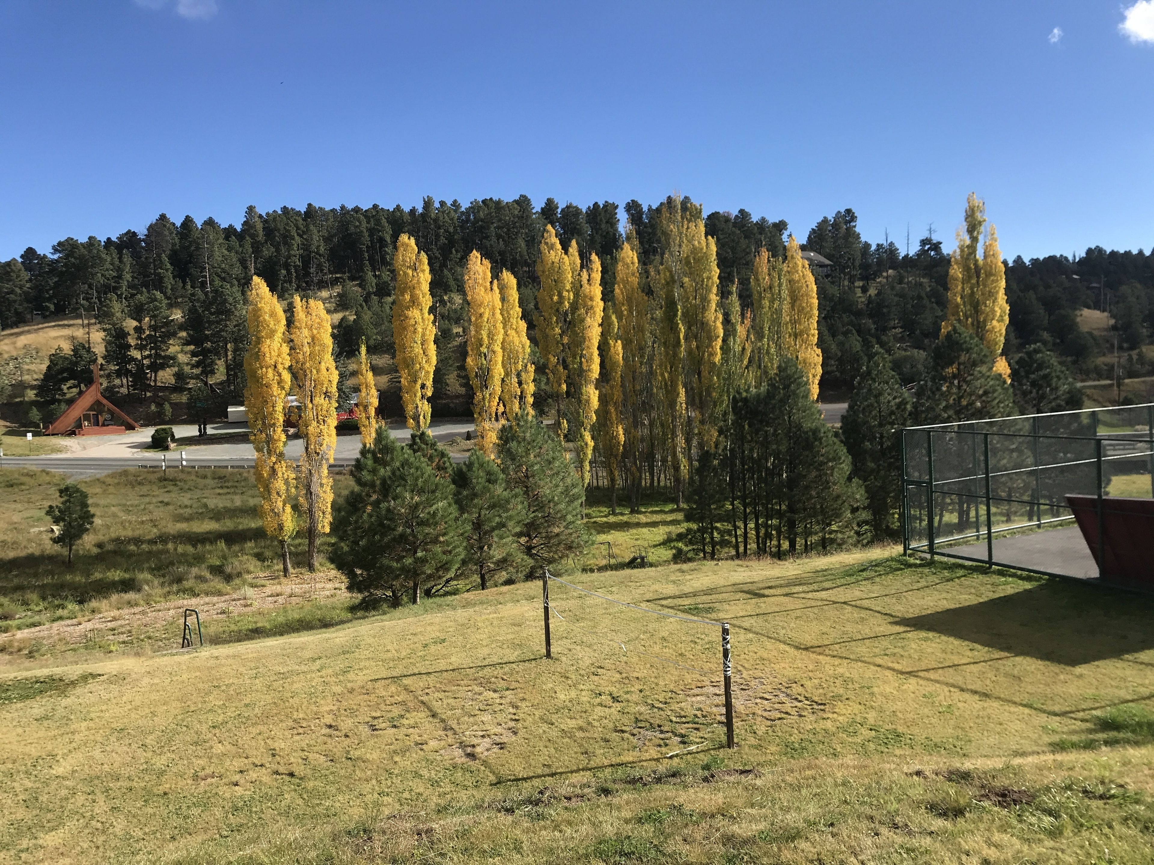 Un campo cubierto de hierba con una cerca, árboles y un edificio al fondo.