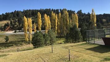 Un campo cubierto de hierba con una cerca, árboles y un edificio al fondo.