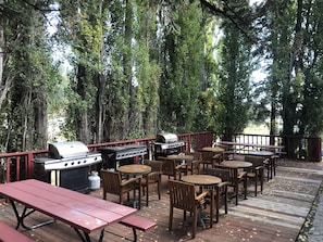 BBQ/picnic area