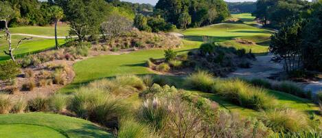 Um campo de golfe com grama bem cuidada, bunkers de areia e árvores.