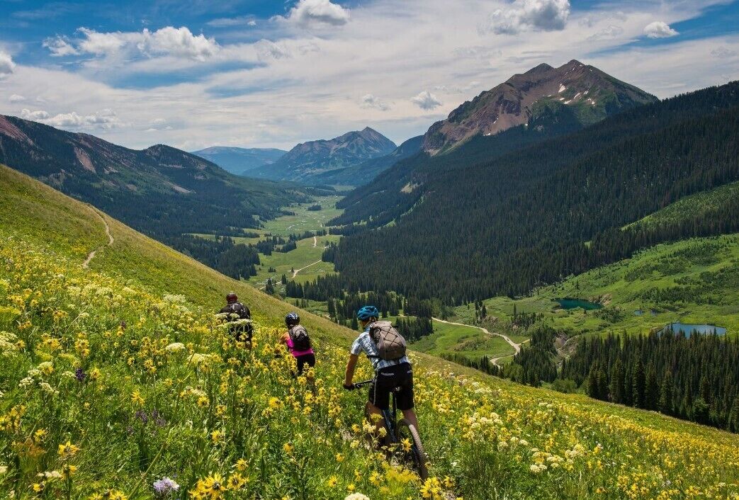 A mountain biking trail with three cyclists, surrounded by lush greenery and distant mountains.