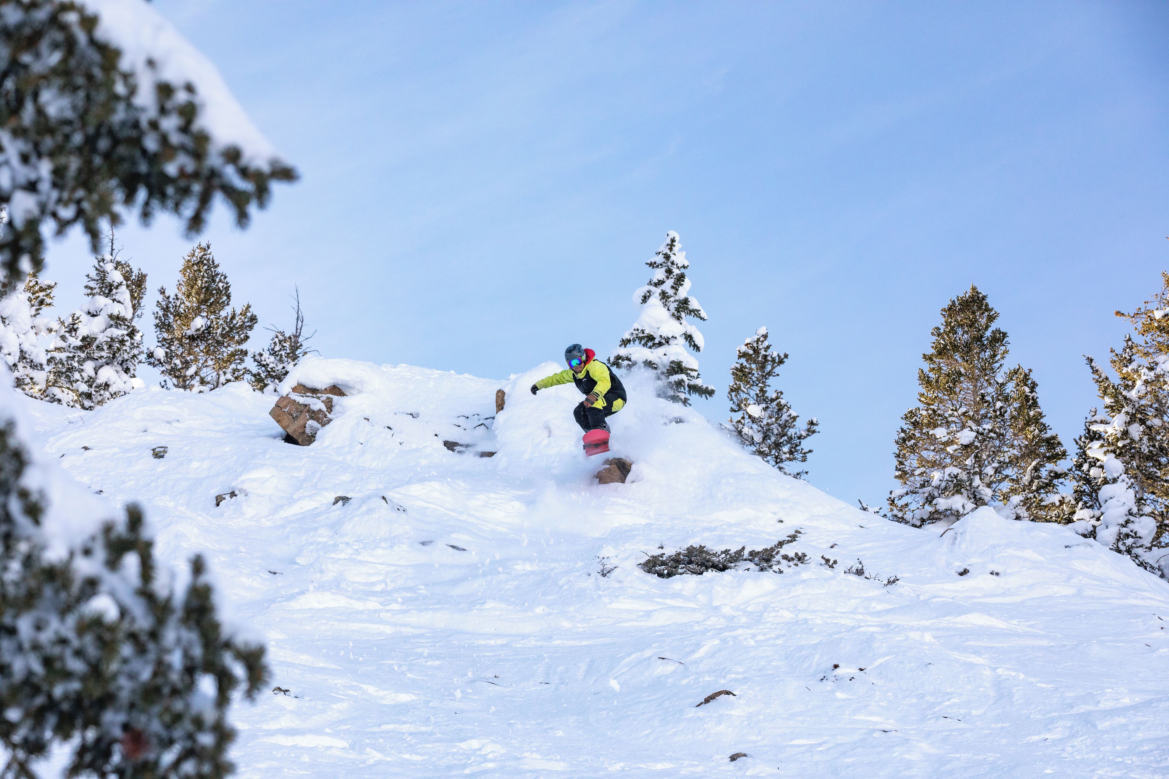 A snowboarder in a yellow and black jacket on a snowy slope with trees.
