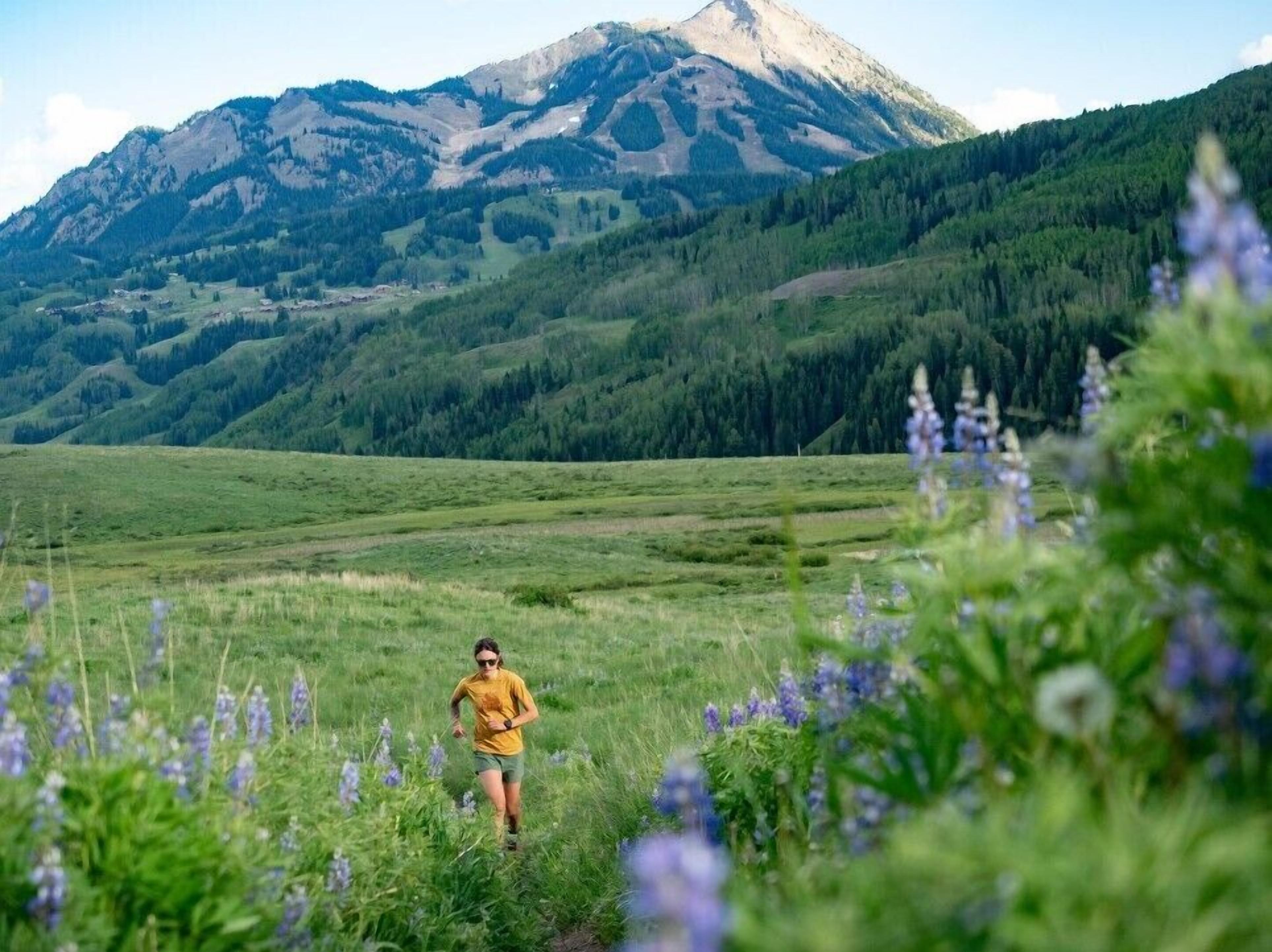 Une personne qui court dans un champ, avec une montagne en arrière-plan.