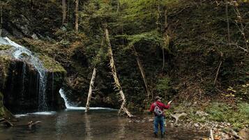 A person standing by a waterfall in a forested area.