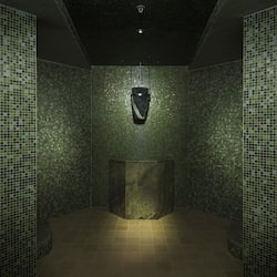 Couples treatment room(s), sauna, hot tub, steam room