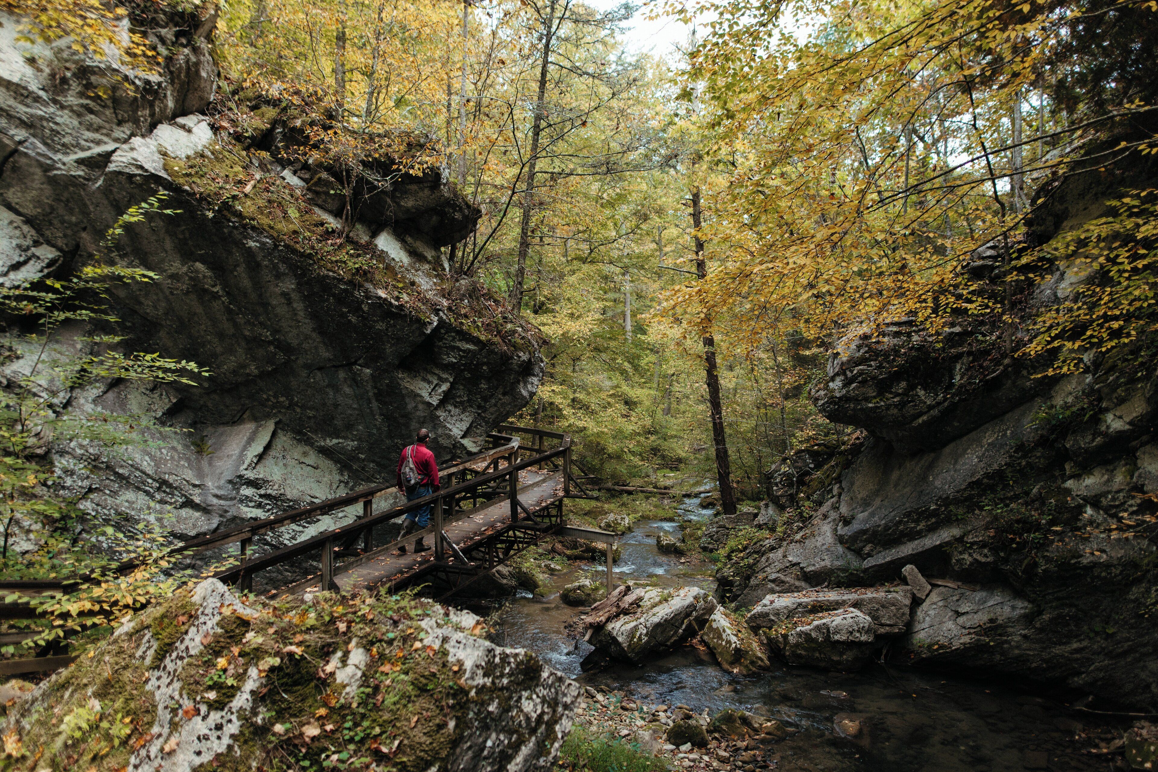 A wooden bridge over a stream in a forested area with rocky cliffs.
