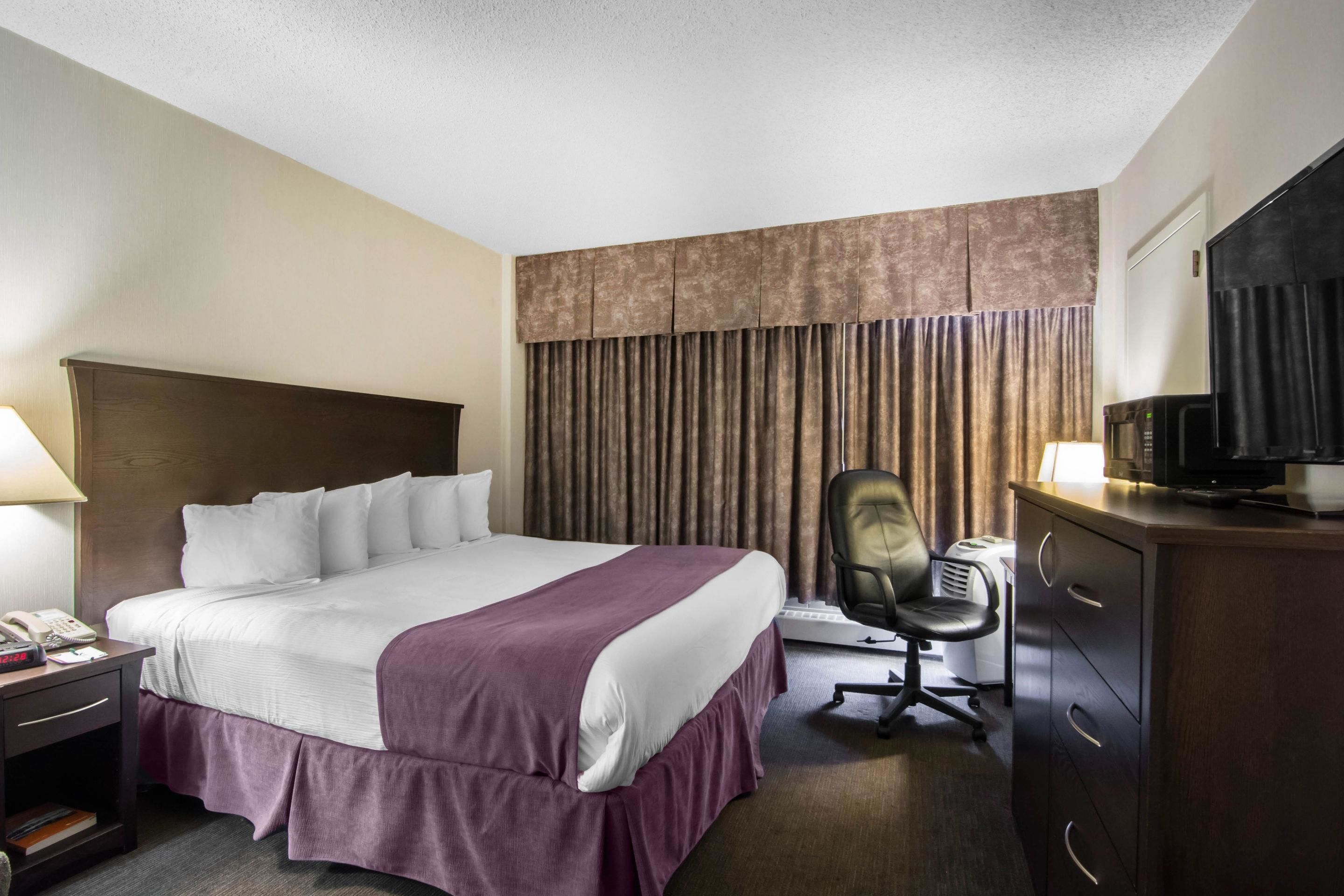 Camera d'albergo con un letto grande, una scrivania con sedia, televisione e minibar.
