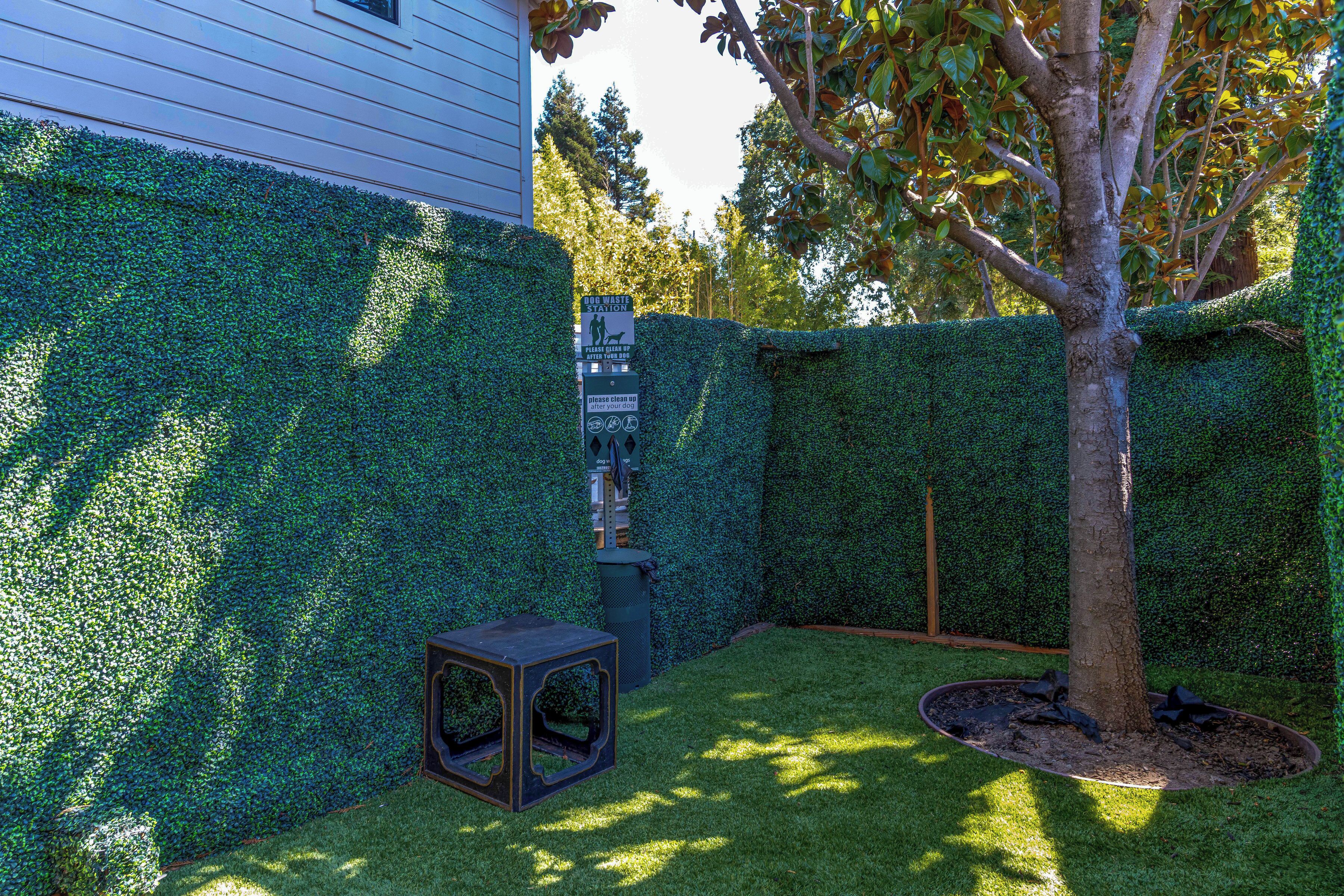 pet-friendly amenities