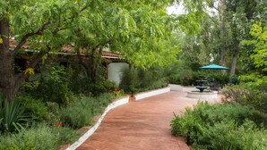 Un sendero de ladrillo curvo en un jardín exuberante con una fuente y un paraguas.