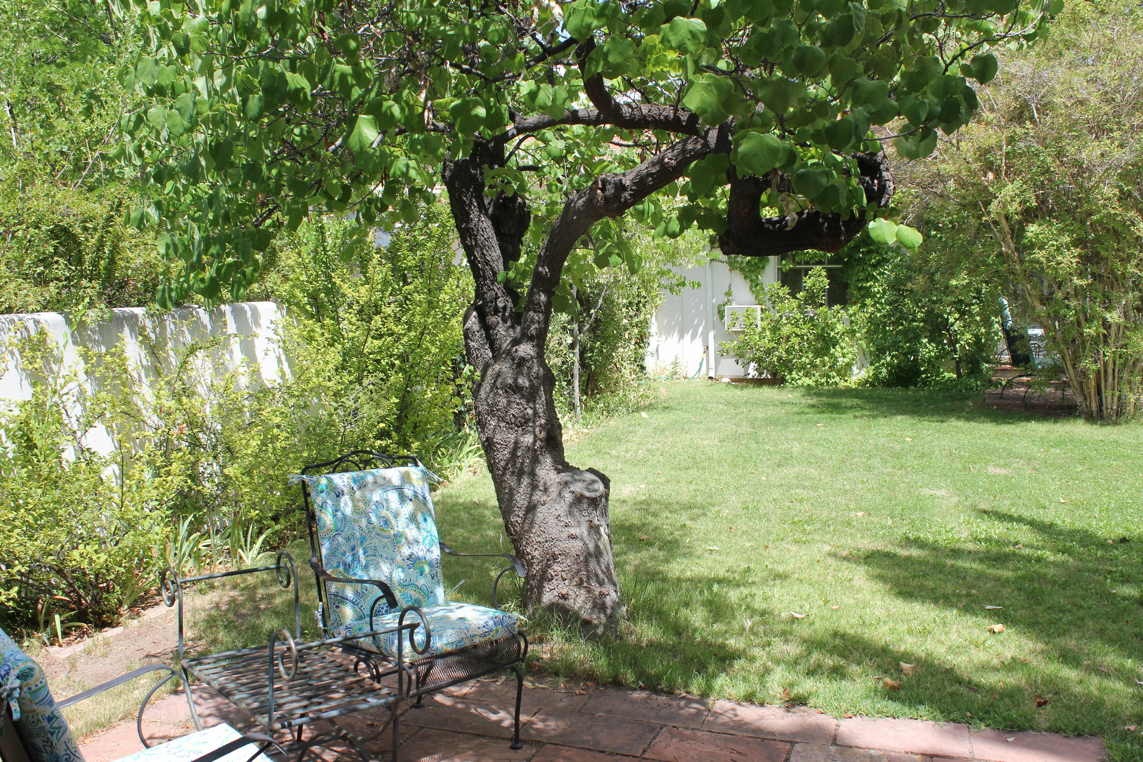 Un patio trasero con una silla de metal, un árbol y una cerca blanca.