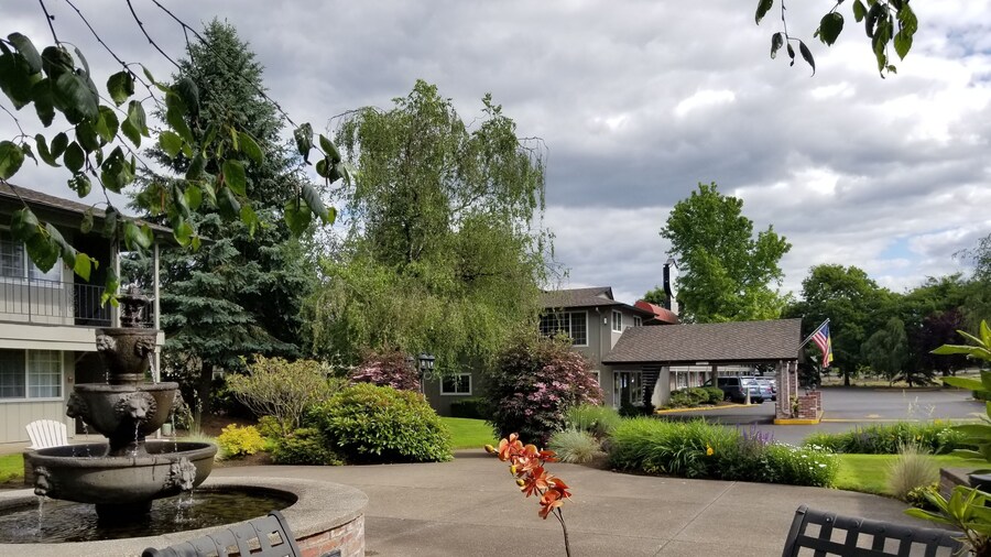 Village Inn Springfield