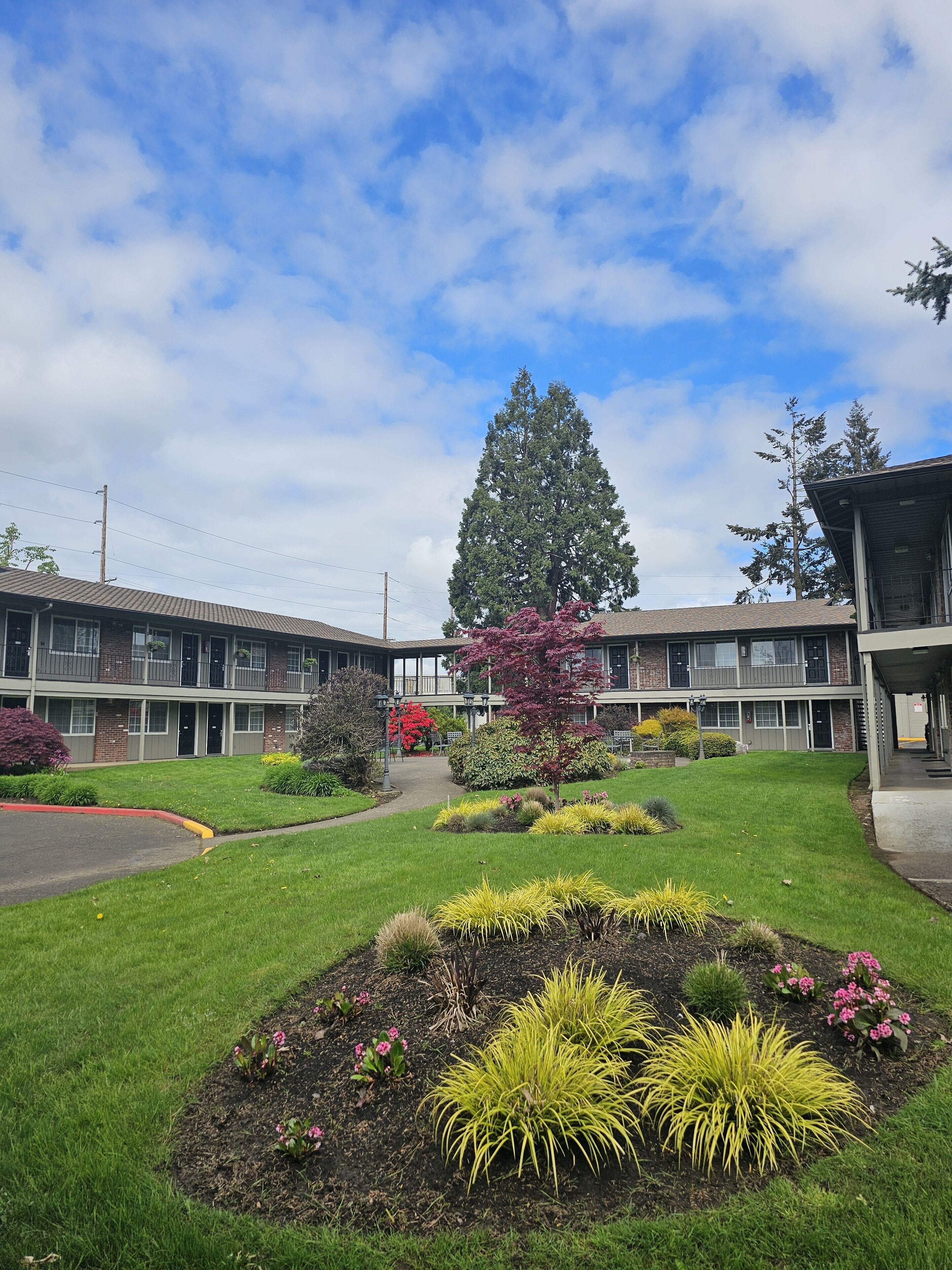 Um motel com um pátio central, uma grande árvore e um gramado bem cuidado.