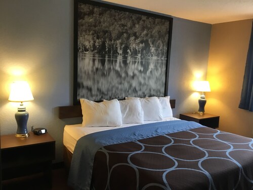 Super 8 by Wyndham Sidney NY