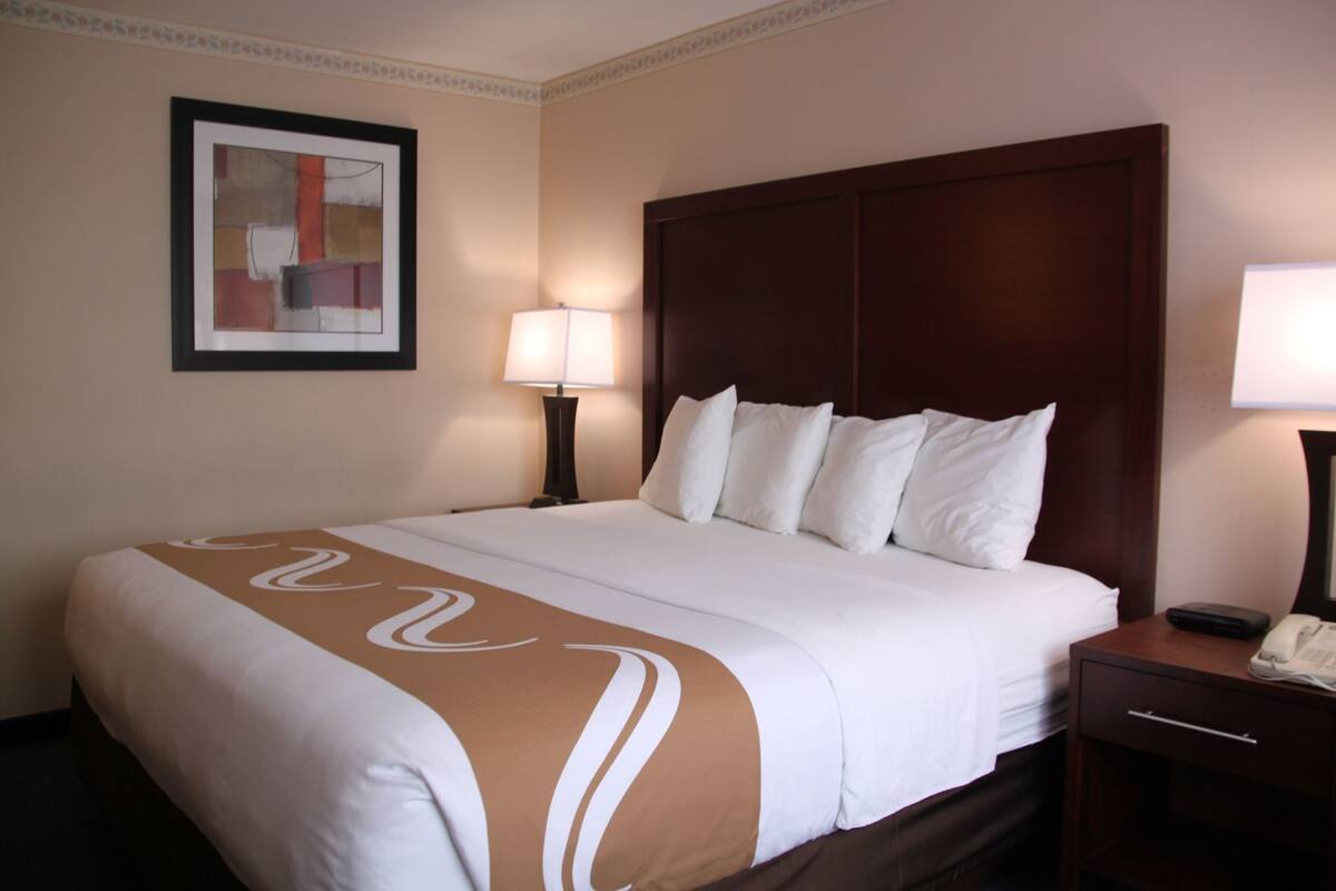 A hotel room with a large bed, a nightstand with a lamp, a framed picture on the wall, and a telephone on the nightstand.